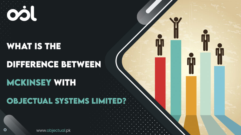 What Is The Difference Between McKinsey With Objectual Systems Limited Blog 1024x576